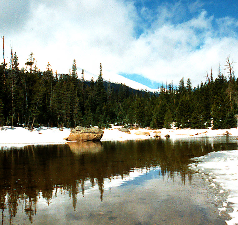 Amphibian breeding and climate change: the importance of snow in the